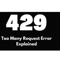 429 Error