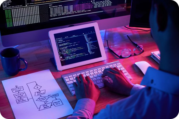 professional programmer