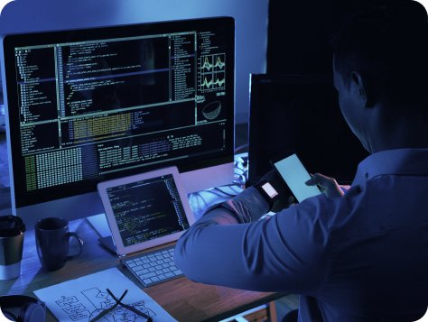 professional programmer